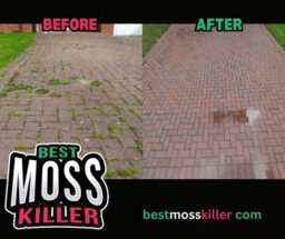 King of Paints No Bleach, Maximum Power: 5L Moss Killer Covers 130L For All Hard Surfaces - thumbnail 6