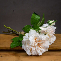 Hill Interiors Artificial Short Stem Rose Bouquet Peach/cream (One Size) - thumbnail 2