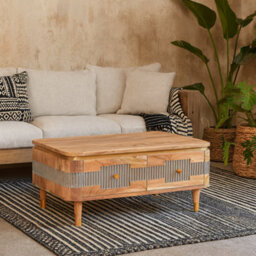 Wyld Haus Idaho Natural Acacia Wood And Brass Coffee Table With 2 Drawers
