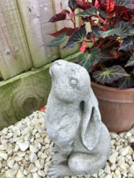 Burgess Rabbit Gazing Hare Stone Statue Outdoor British Made Bunny Rabbit Garden Ornament - thumbnail 4