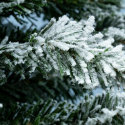 Christmas Tree World The Pre-Lit 7Ft/210Cm Snowy Pencil Christmas Tree - thumbnail 9