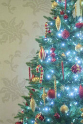 Christmas Tree World The 5Ft Woodland Pine Half Tree With Hinged Branches - thumbnail 7