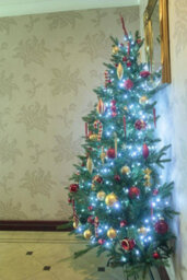 Christmas Tree World The 5Ft Woodland Pine Half Tree With Hinged Branches - thumbnail 5