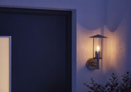 GoodHome Chignik Fixed Satin Stainless Steel Mains-Powered Outdoor Lantern Wall Light (Dia)17Cm - thumbnail 7