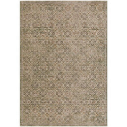 Livabliss Galey Alix Myrtle Avenue-Vintage Brown Green Grey Traditional Boho Fringe Living Dining Bedroom Rug 140 X 200 Cm Easy Care - thumbnail 1