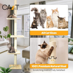 Ca&t Cat Scratching Post Floor To Ceiling 285Cm Tree Climbing Tower - thumbnail 5