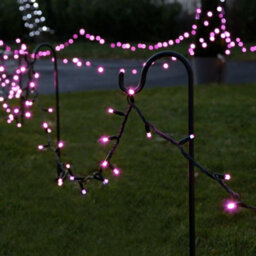 Festive Lights - Connectpro 5M Pink Outdoor Ip65 Connectable Led Christmas Fairy String Lights - No Plug - thumbnail 2