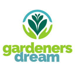 Gardeners Dream Salix Chrysocoma Tree - Cascading Yellow Branches, Hardy (5-6Ft) - thumbnail 5