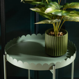 Scottish Everlastings Ltd. Scottish Everlastings Green Round Scallop Table - thumbnail 2
