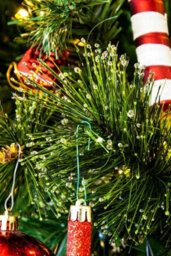 Christmas Tree World The 8Ft/240Cm Majestic Dew Pine Christmas Tree - thumbnail 9
