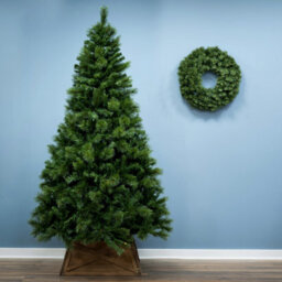 Christmas Tree World The 8Ft/240Cm Majestic Dew Pine Christmas Tree - thumbnail 2