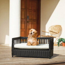 Teamson Pets Clotho Indoor Outdoor Wicker Rattan Cat Or Small Dog Bed Sofa Lounger Water Resistant With Removeable Cushion - thumbnail 1