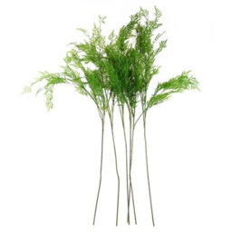 Leaf 6 X 120Cm Artificial Boston Fern Stem Filler - thumbnail 2