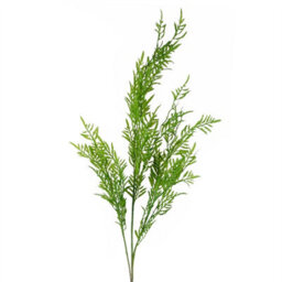 Leaf 6 X 120Cm Artificial Boston Fern Stem Filler - thumbnail 3