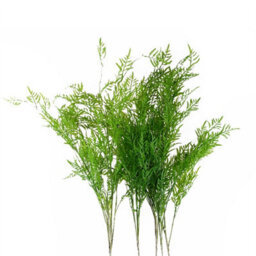 Leaf 6 X 120Cm Artificial Boston Fern Stem Filler - thumbnail 1