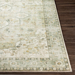 Livabliss Erin-Traditional Green Grey Cream Brown Traditional Boho Living Dining Bedroom Rug 200 X 275 Cm Easy Care, Non Shedding - thumbnail 5