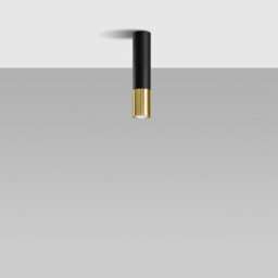 Luminosa Lighting Luminosa Loopez Surface Mounted Downlights Flush Light Black, Gold Gu10