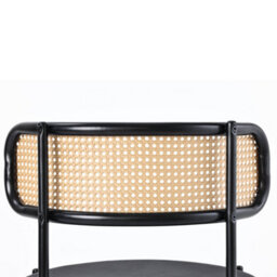 Abrihome Velvet Dining Chair, Set Of 4, Simple Leisure Chair With Four Metal Support Legs, Rattan Leisure Chair, Living Room Chair, Black - thumbnail 6