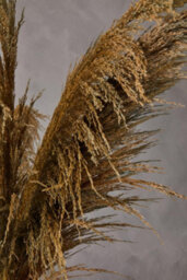 Orsina Fiori Pampas Grass Blue Stem Artificial Plant Foliage - thumbnail 5