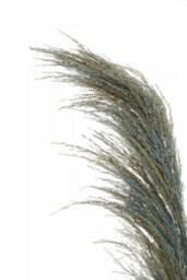 Orsina Fiori Pampas Grass Blue Stem Artificial Plant Foliage - thumbnail 7