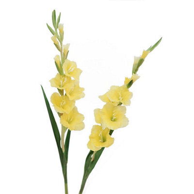 2 Pack Artificial Long - Stemmed Gladiolus Flowers For Home And Wedding And Office Decoration (Yellow) - image 1