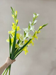 2 Pack Artificial Long - Stemmed Gladiolus Flowers For Home And Wedding And Office Decoration (Yellow) - thumbnail 3