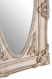 Orsina Functional Champagne Finish Oval Border Wall Mirror, Timeless Mirror For Livingroom, Elegant Modern Mirror - thumbnail 4
