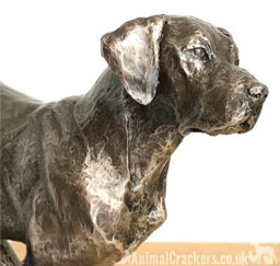 Animal Crackers Large Labrador On Rocks Dog Figurine In Solid Cold Cast Bronze Designed By David Geenty - thumbnail 6