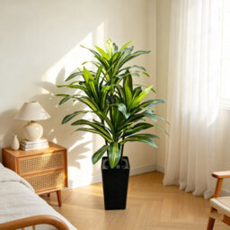 London Boutique 150 Cm Artificial Dracaena Tree, Tall Artificial Plant Indoor, White Planter, Fake Floor Plant For Home Office - thumbnail 3