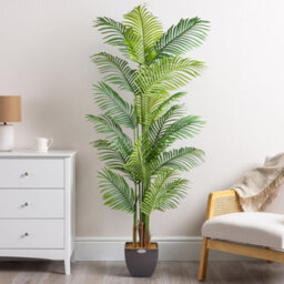 Christow Artificial Potted Palm Tree Topiary Decoration - 1.8M - thumbnail 2