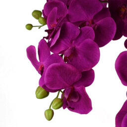 Leaf Giant Purple Orchid Plant Artificial 189 Flowers Real Touch Botanik - thumbnail 2