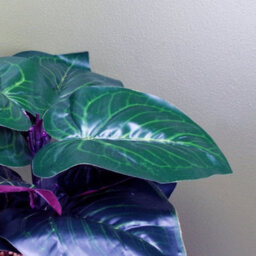 Leaf 35Cm Artificial Ficus Plant Potted In Teal Blue Green Ceramic Planter - thumbnail 3