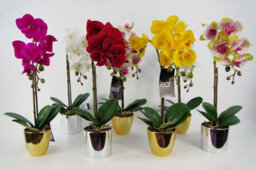 Leaf 46Cm Artificial Orchid Dark Pink / Gold - thumbnail 6