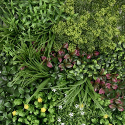 True Products Premium Artificial Green Plant Living Wall Panel 1M X 50Cm - Wonderland - thumbnail 3