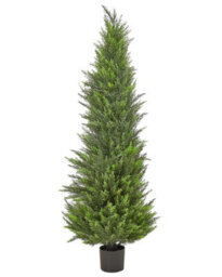 Wyld And Coco Artificial Cedar Tree 153 Cm With Realistic Textured Trunk - Indoor And Covered Outdoor Use - thumbnail 1