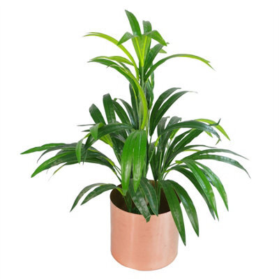 65Cm Artificial Bamboo Leaf Shrub With Brushed Copper Planter - image 1