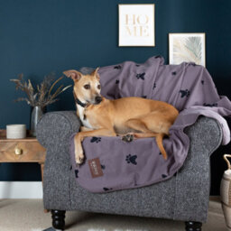 Slumberdown Waterproof Pet Blanket, Grey, Medium - thumbnail 2