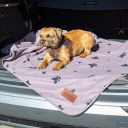 Slumberdown Waterproof Pet Blanket, Grey, Medium - thumbnail 4