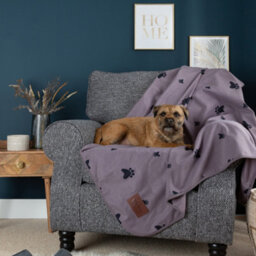 Slumberdown Waterproof Pet Blanket, Grey, Medium - thumbnail 1
