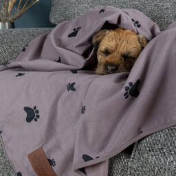 Slumberdown Waterproof Pet Blanket, Grey, Medium - thumbnail 8