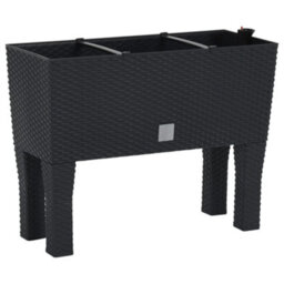 Berkfield Raised Garden Bed Anthracite 60X25X46 Cm Pp Rattan - thumbnail 2