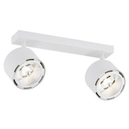 Luminosa Lighting Luminosa Clevland Twin Ceiling Spotlight White Structure