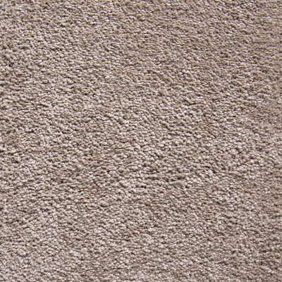 Molto Bella Luxury Deep Pile Carpet By Remland (Vita, 4M X 5M)