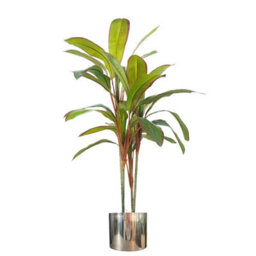 Leaf Artificial 100Cm Potted Dracaena Tropical Plant With Silver Metal Plater