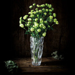 Nachtmann Quartz 26Cm Vase (Crystal Glass) - thumbnail 5