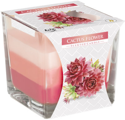 Serenityy Rainbow Jar Candle With Cactus Flower Fragrance, Multicolor 500 G, 32-Hour Burn Time