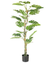 Wyld And Coco 155 Cm Artificial Monstera Potted Plant - Realistic Green Faux Foliage For Home And Office Decor - thumbnail 1