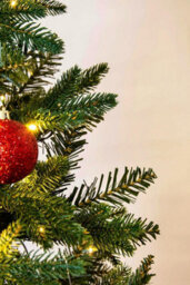 Christmas Tree World The 8Ft Pre-Lit Woodland Pine Tree With Hinged Branches - thumbnail 7