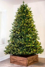 Christmas Tree World The 8Ft Pre-Lit Woodland Pine Tree With Hinged Branches - thumbnail 2