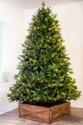 Christmas Tree World The 8Ft Pre-Lit Woodland Pine Tree With Hinged Branches